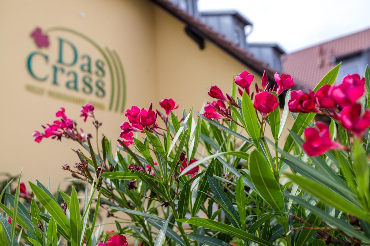 Das Crass Nieder-Olm (Rhineland-Palatinate) Exterior foto
